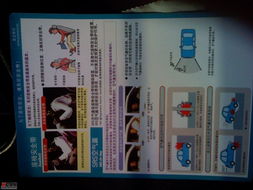 守護安全，從細節(jié)開始 4S店豐田印刷品中的安全帶與氣囊安全指南